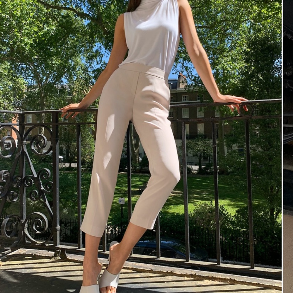 Aritzia Babaton Conan Pant